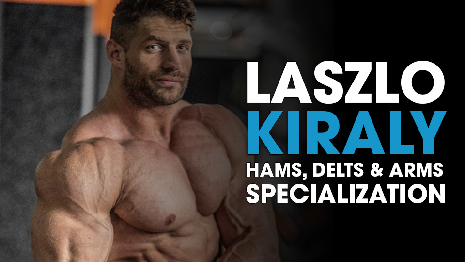 Laszlo Kiraly Current Program